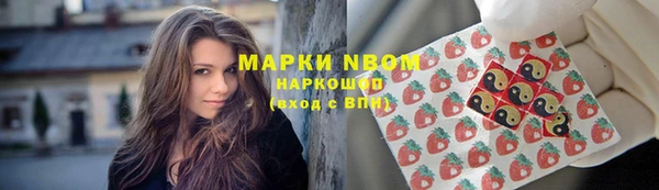 СК Алексин