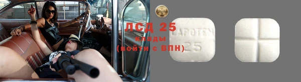 ГАЛЛЮЦИНОГЕННЫЕ ГРИБЫ Алексеевка