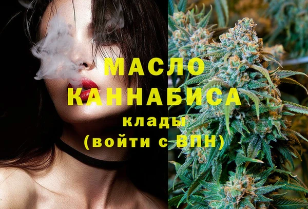 СК Алексин
