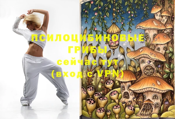ГАЛЛЮЦИНОГЕННЫЕ ГРИБЫ Алексеевка