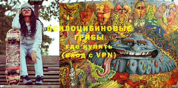 СК Алзамай
