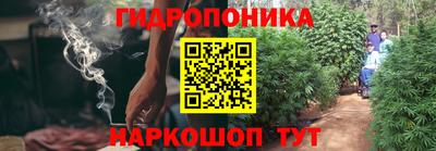 шишки Гусь-Хрустальный