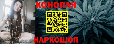 гидропоника Гусев