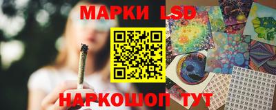 гидропоника Гусев