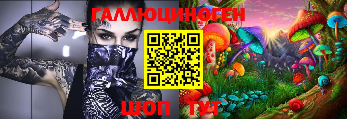 Междуреченск  Галлюциногенные грибы мухоморы  Вход с VPN 