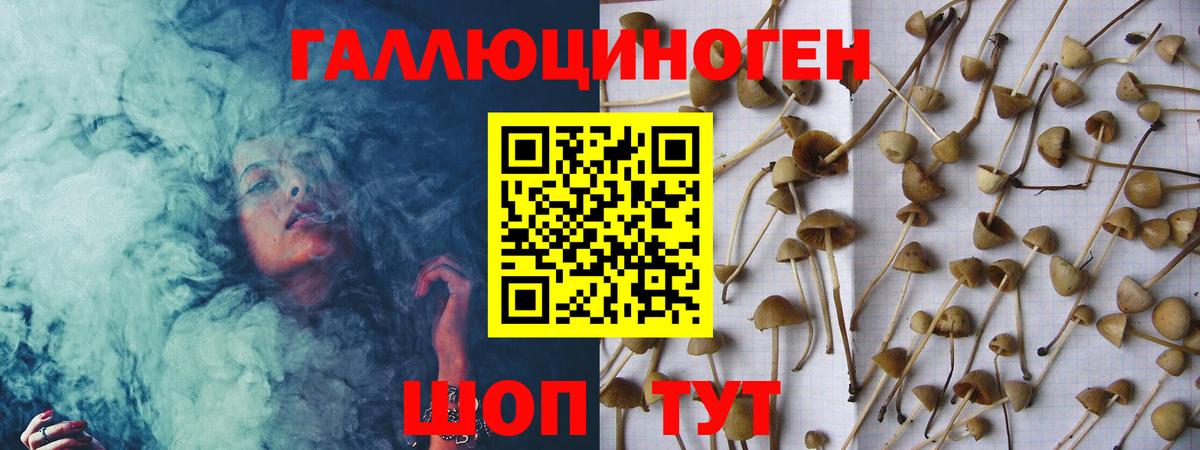 Галлюциногенные грибы MAGIC MUSHROOMS Междуреченск